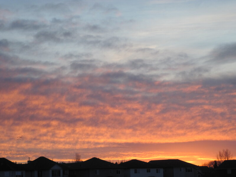 Residential Rooftops at Sunset