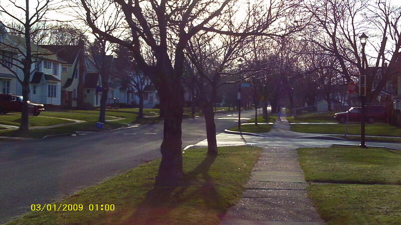 Residential Street at Dawn