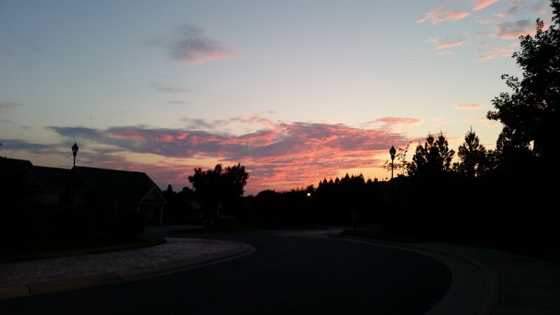 Residential Street at Dusk — Pink