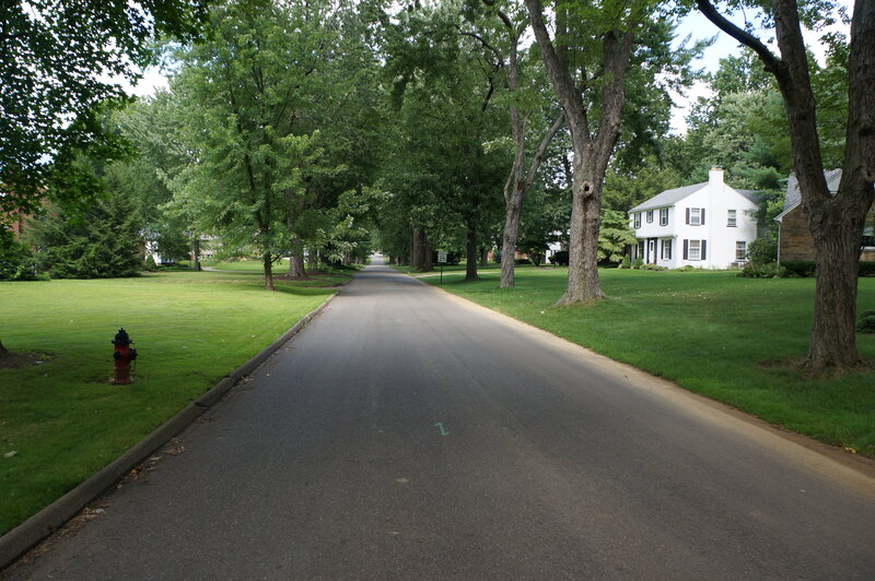 Residential Street with Houses — Green, Serene