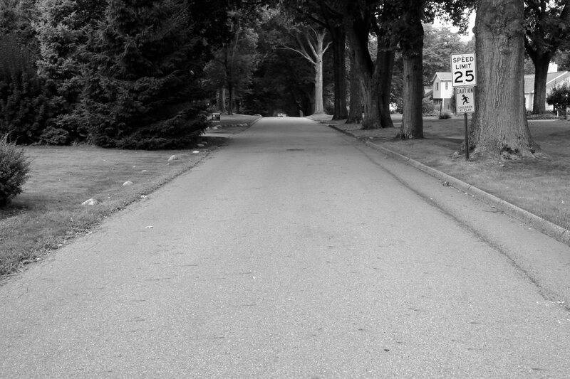 Residential Street with Trees — Black