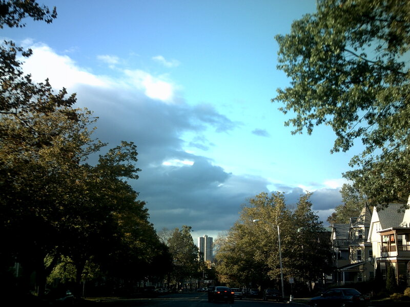 Residential Street with Trees — Blue