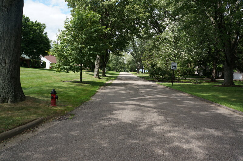 Residential Street with Trees — Green, Calm