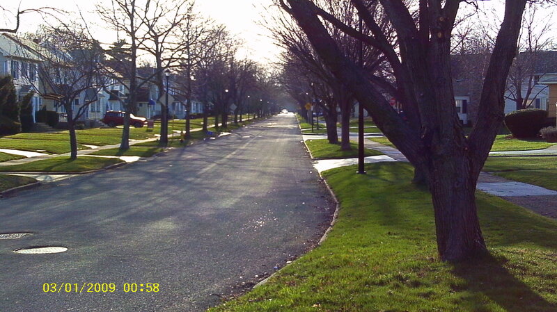Residential Street with Trees — Green