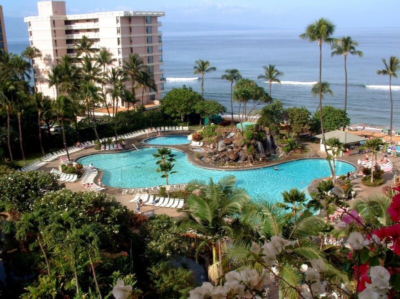Resort Pool with Ocean View — Blue, Serene, Afternoon, Photograph, Palm Trees