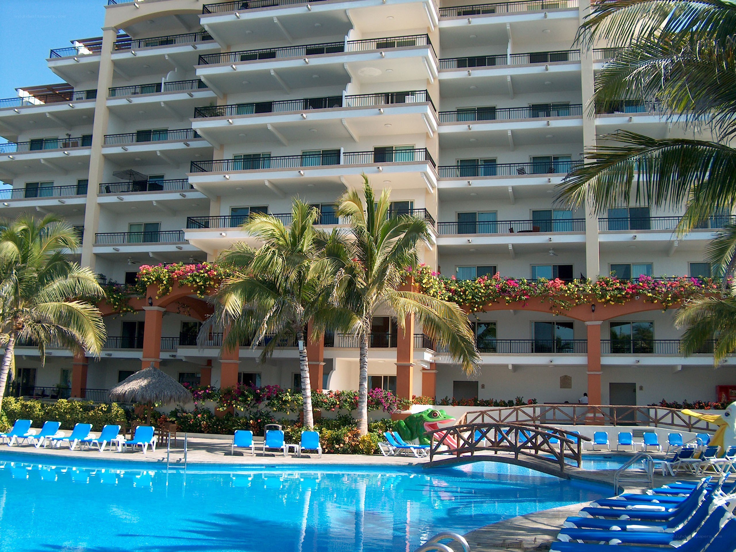 Resort pool with palm trees