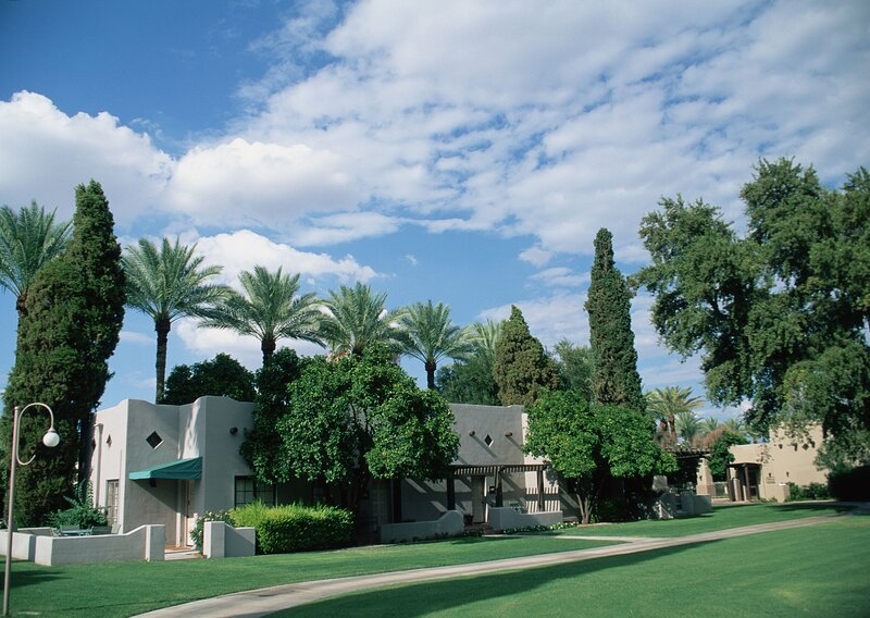 Resort with palm trees and green lawn