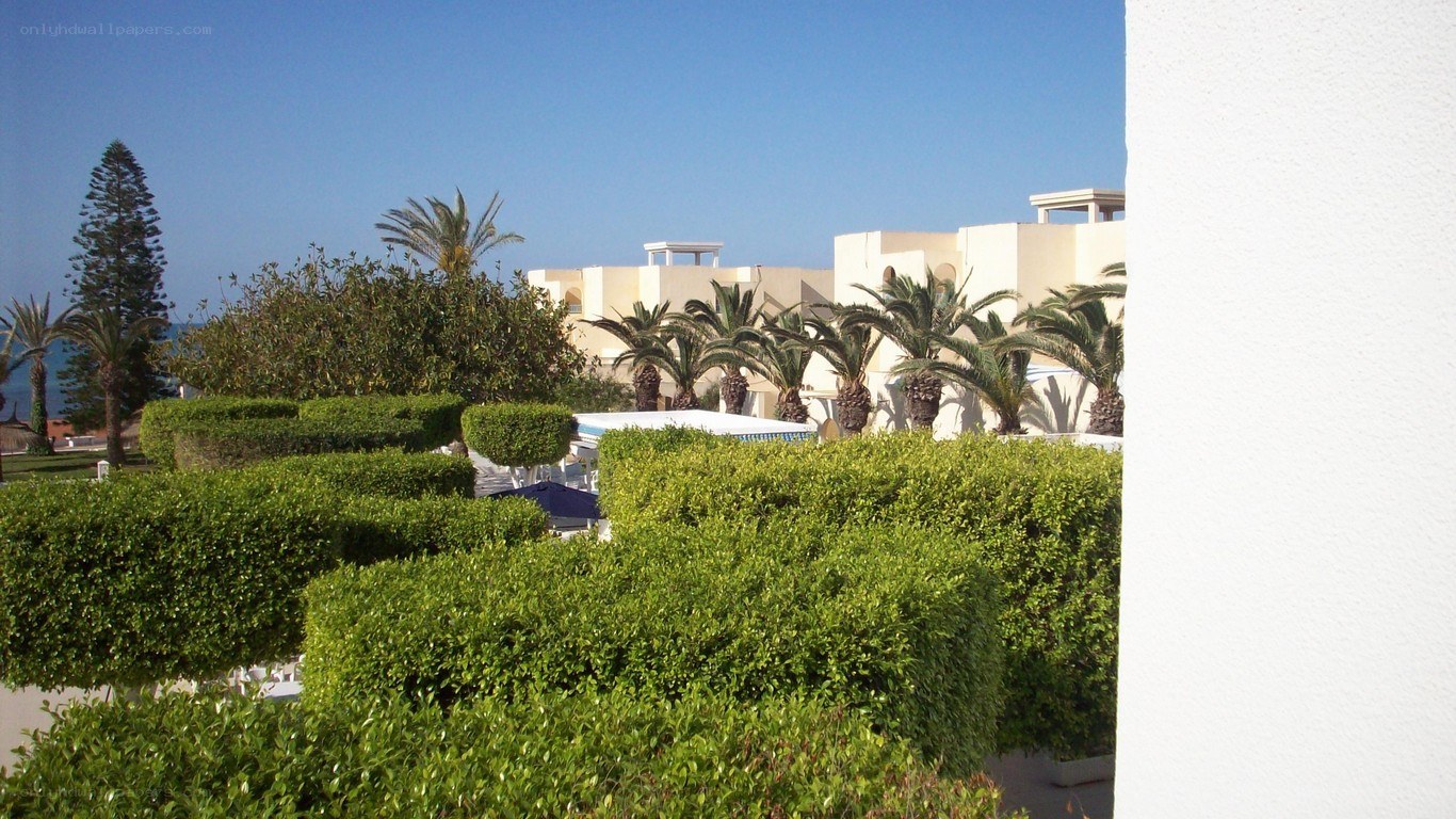 Resort with palm trees and hedges