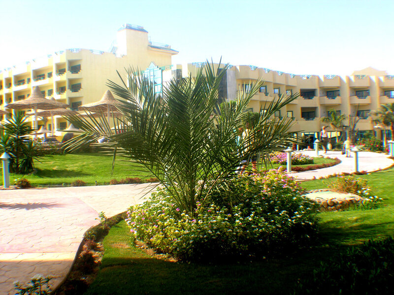 Resort with palm trees