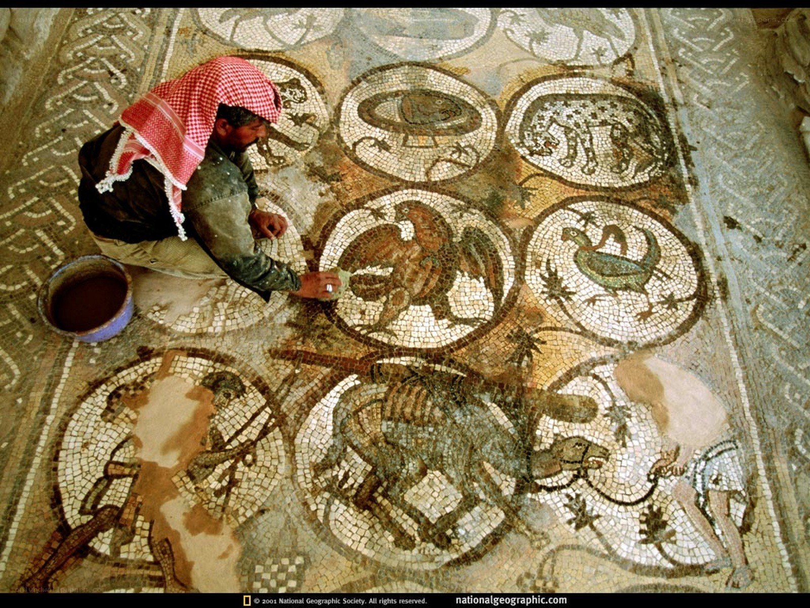 Restoring ancient mosaic floor