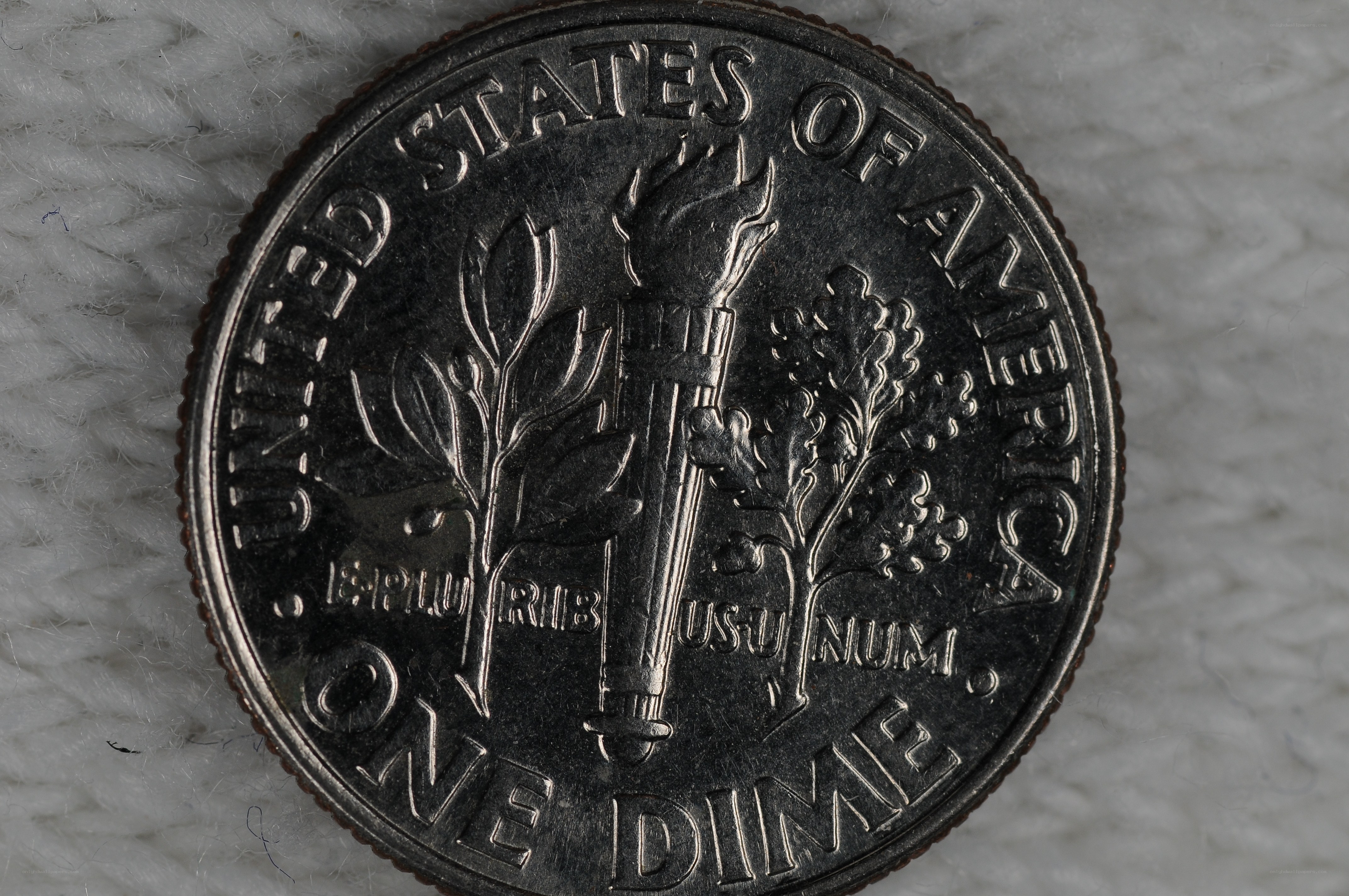 reverse of a US dime coin
