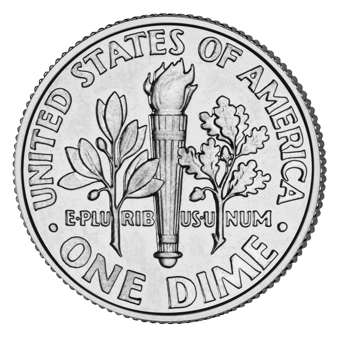 Reverse of a US dime coin