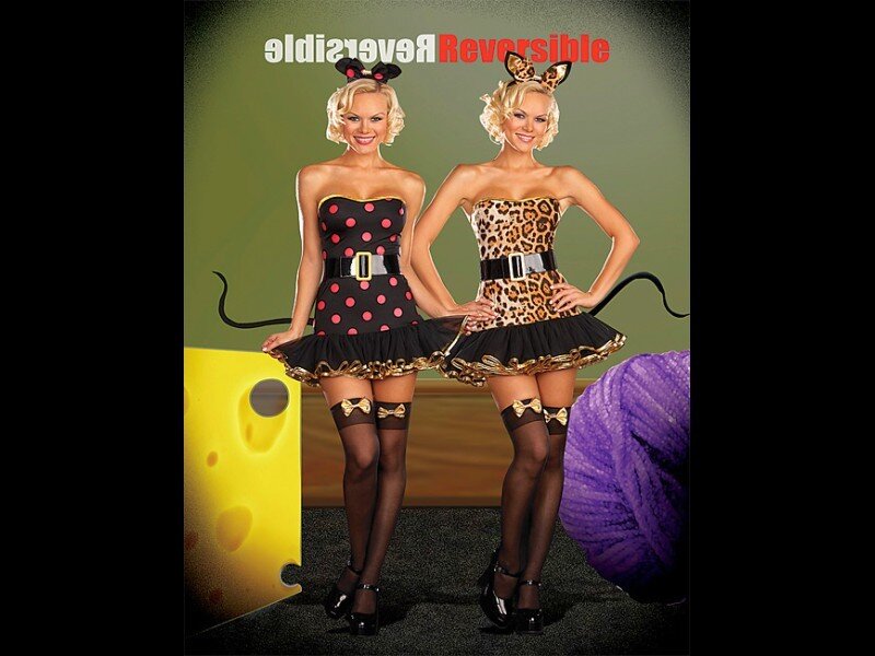 Reversible cat costume