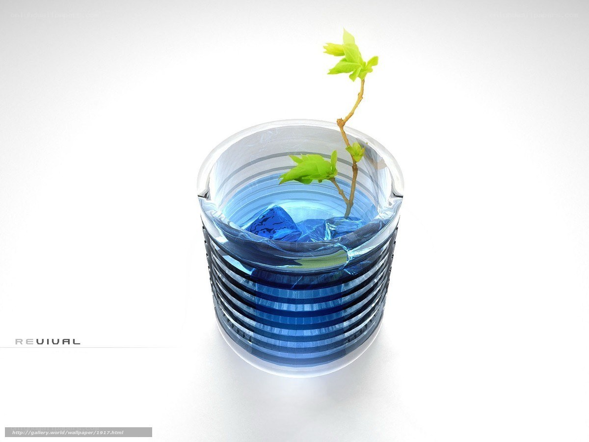 Revival plant in blue glass