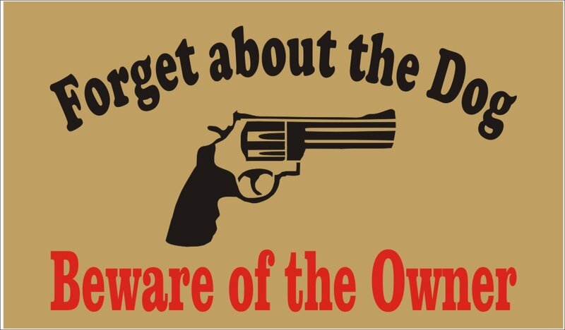 Revolver Gun