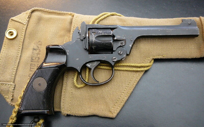 revolver in canvas holster