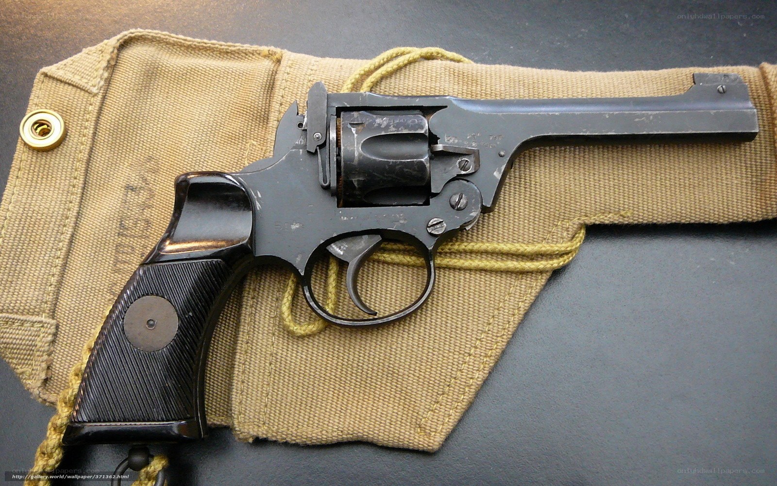 revolver in canvas holster