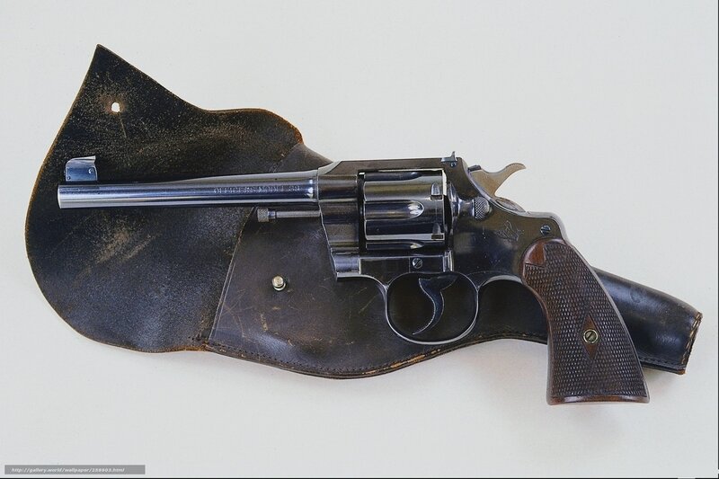 revolver in leather holster