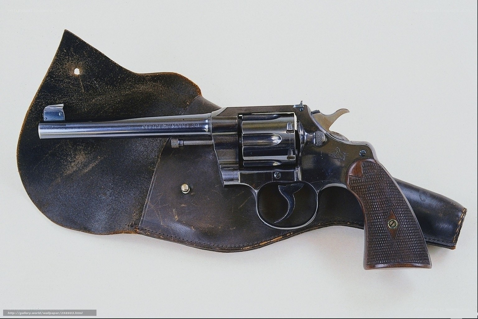 revolver in leather holster
