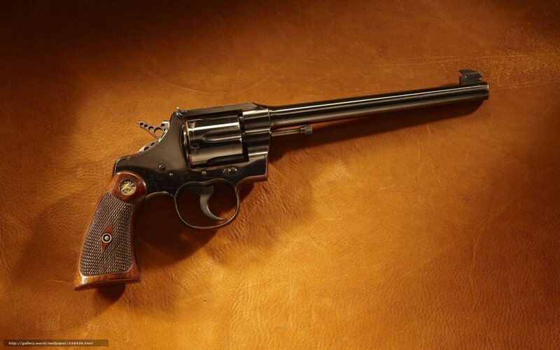 Revolver on Leather