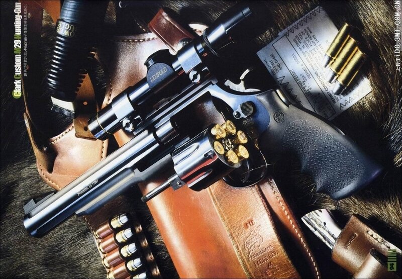 Revolver with Ammunition — Brown