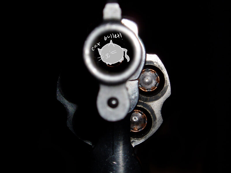 revolver with cat bullet