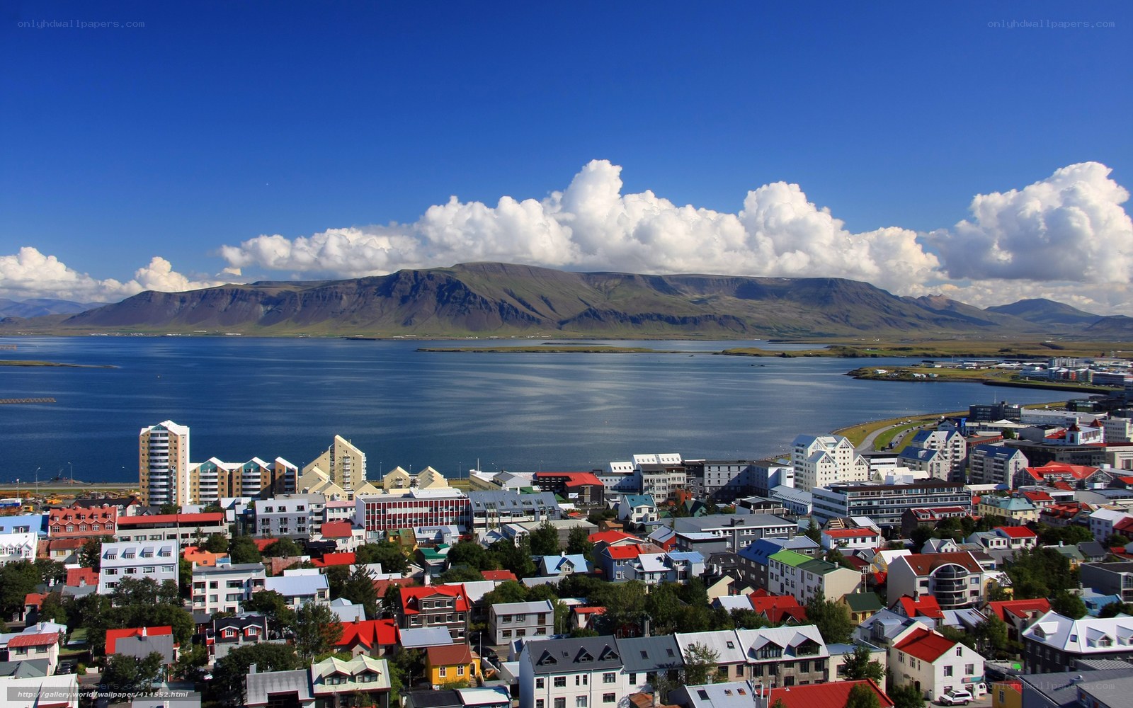Reykjavik cityscape with mountains