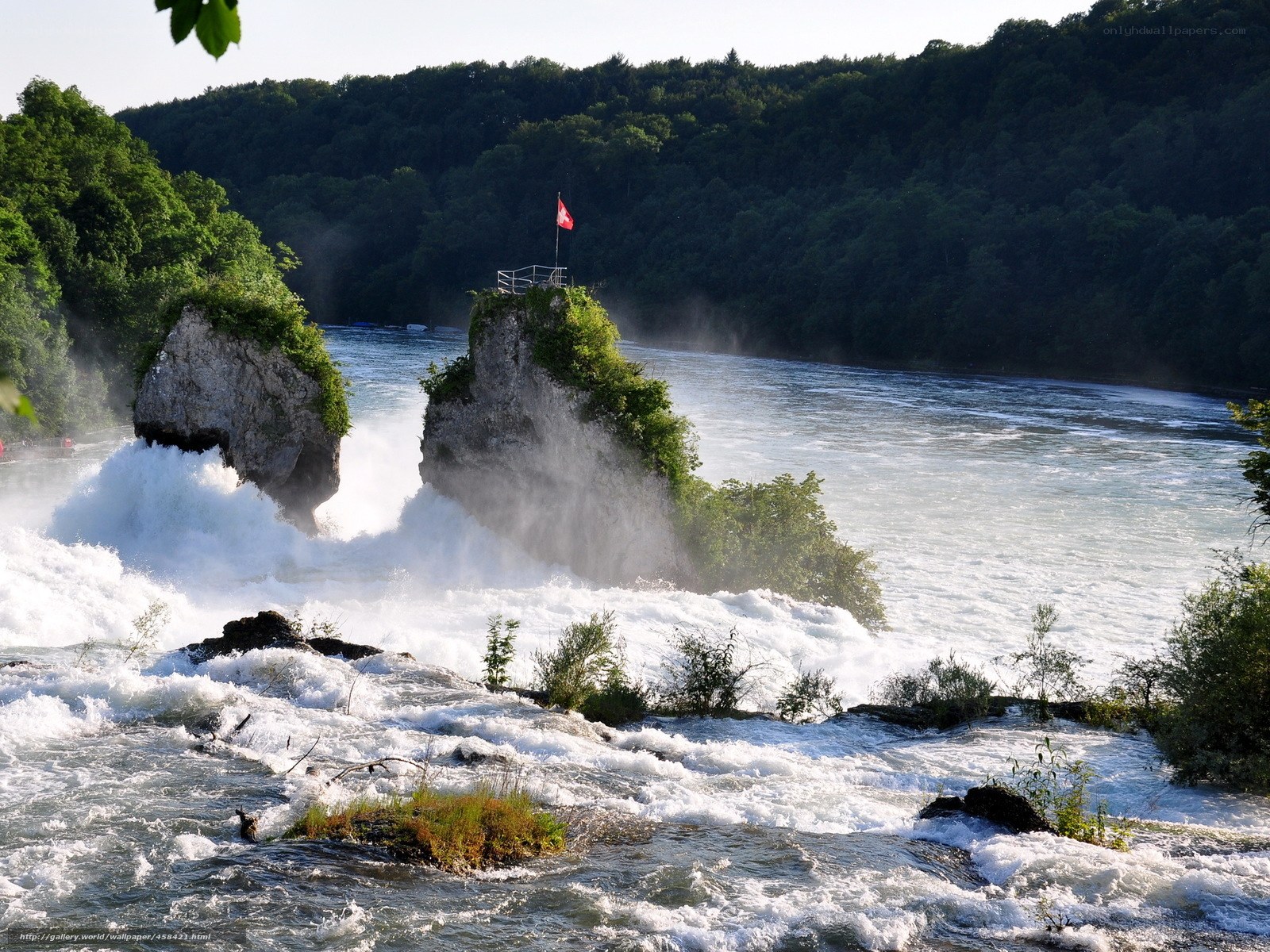 Rhine Falls with Swiss flag