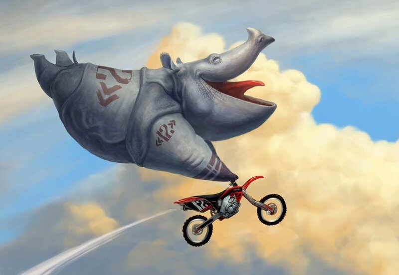 rhino and dirt bike in sky