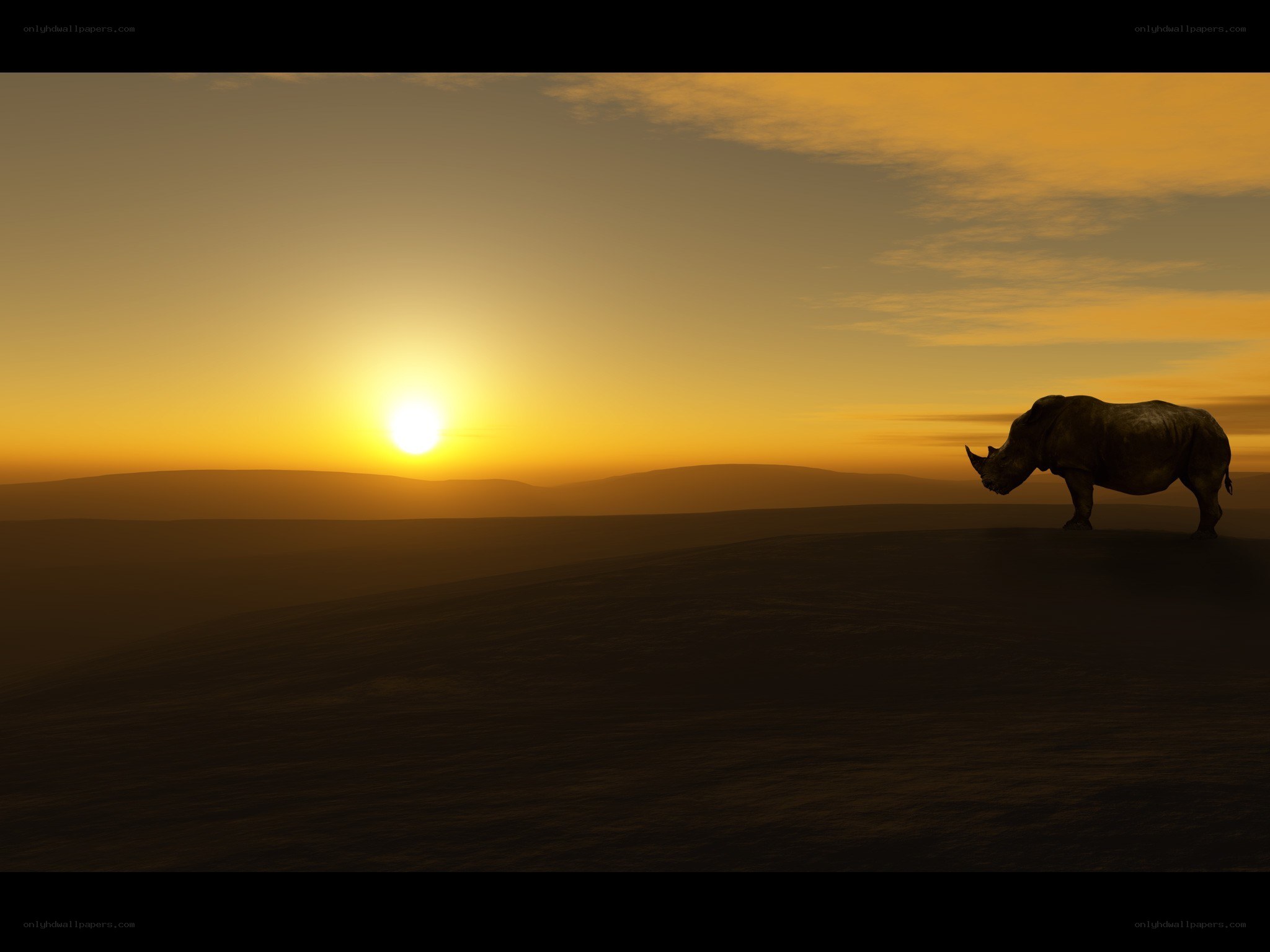 Rhino at sunset on a hill