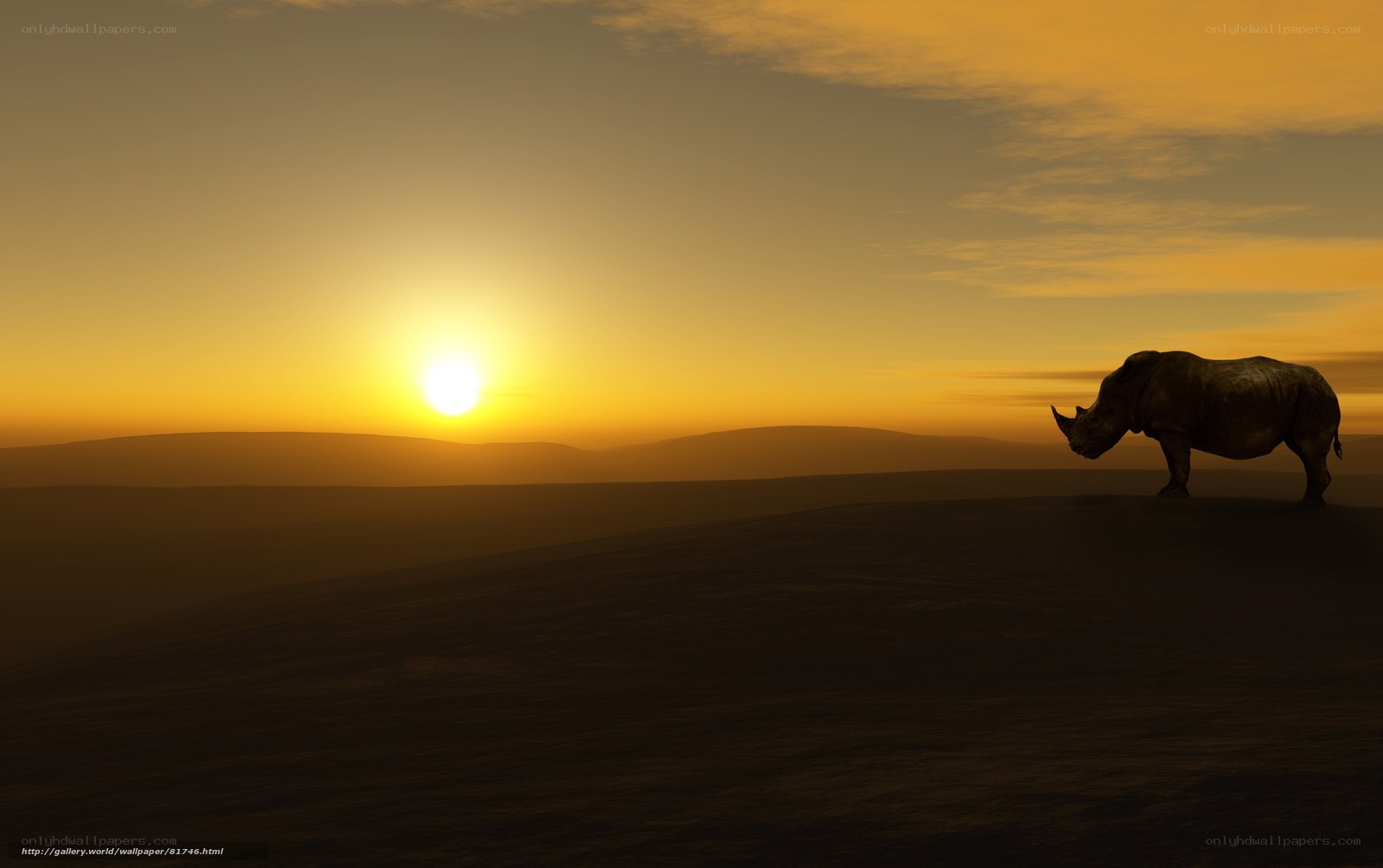 rhino at sunset silhouette