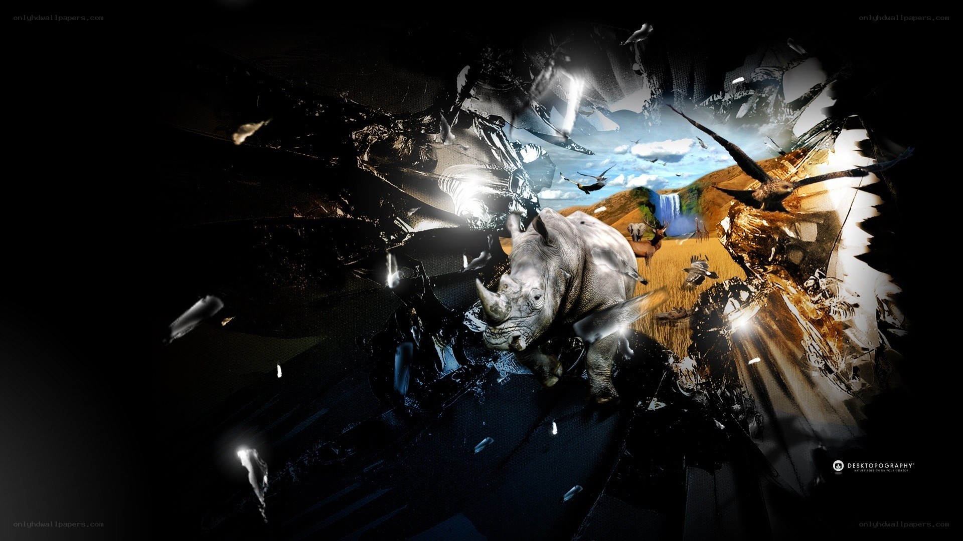 rhino breaking through glass