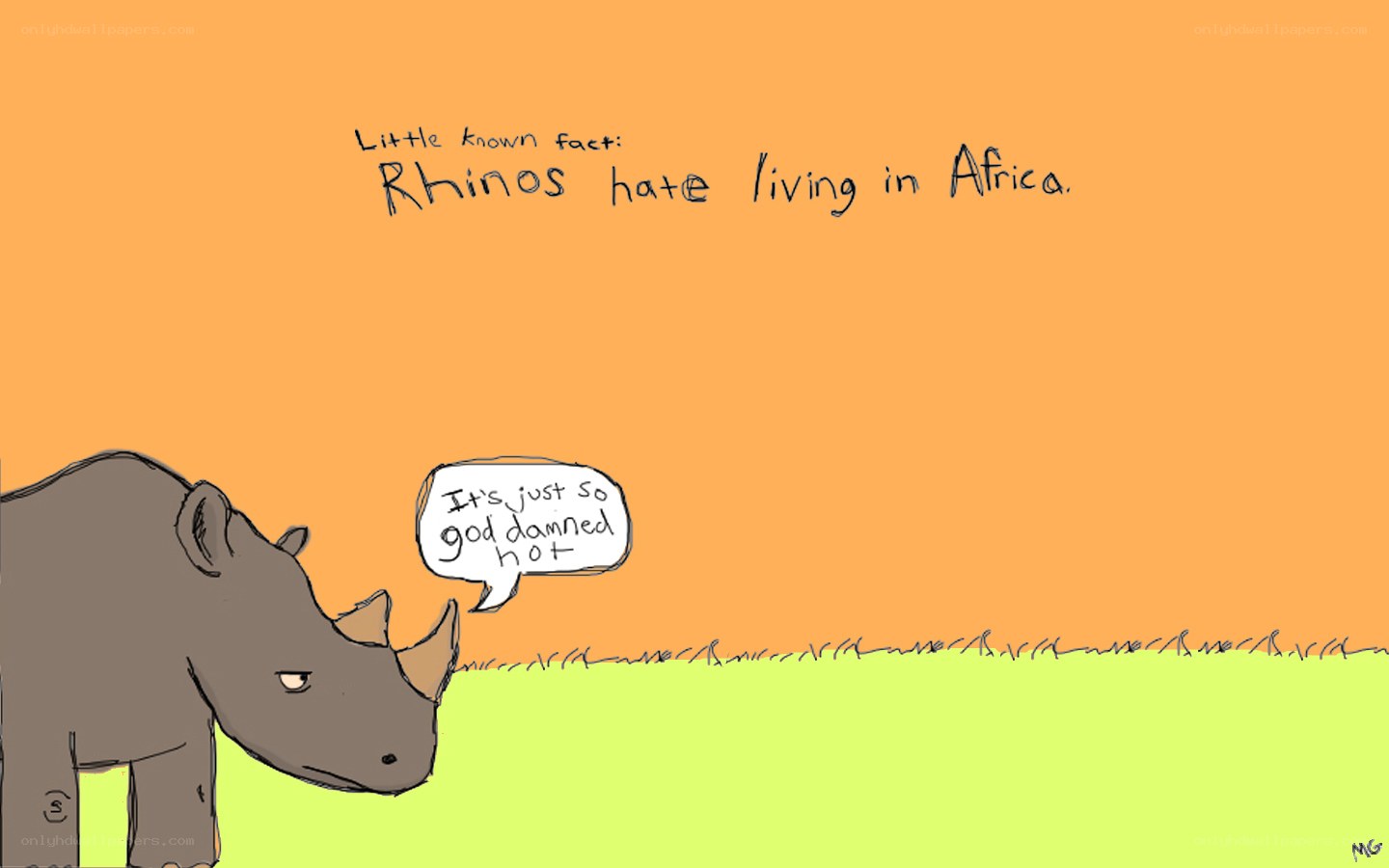 rhino hates africa