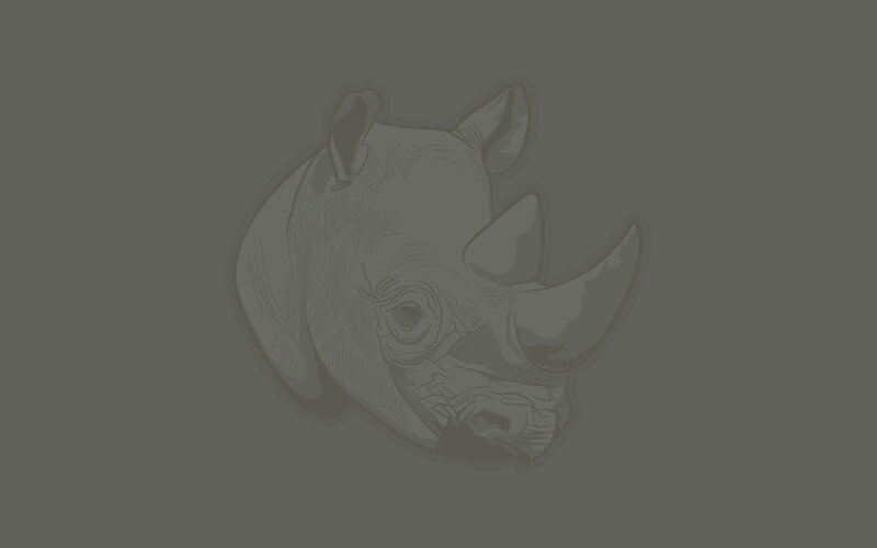 rhino head illustration