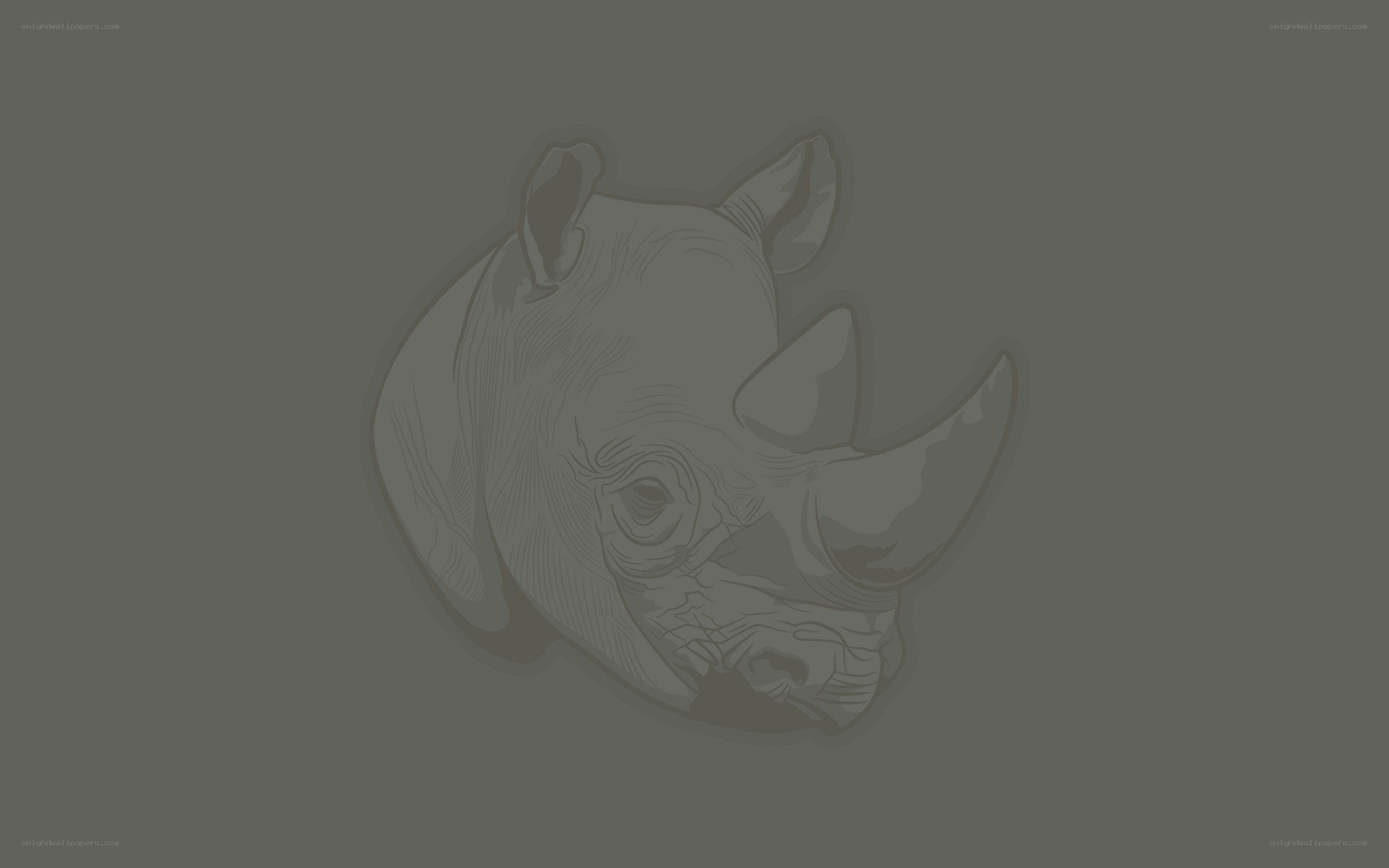 rhino head illustration