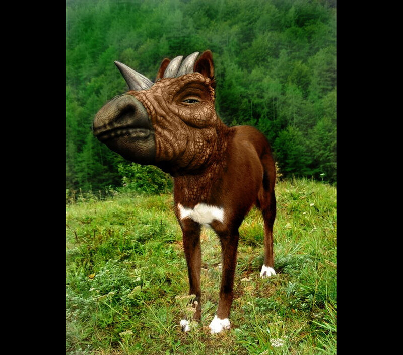 rhino-horse hybrid creature