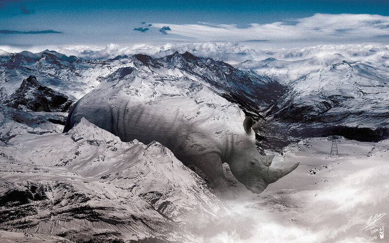 rhino in snowy mountains