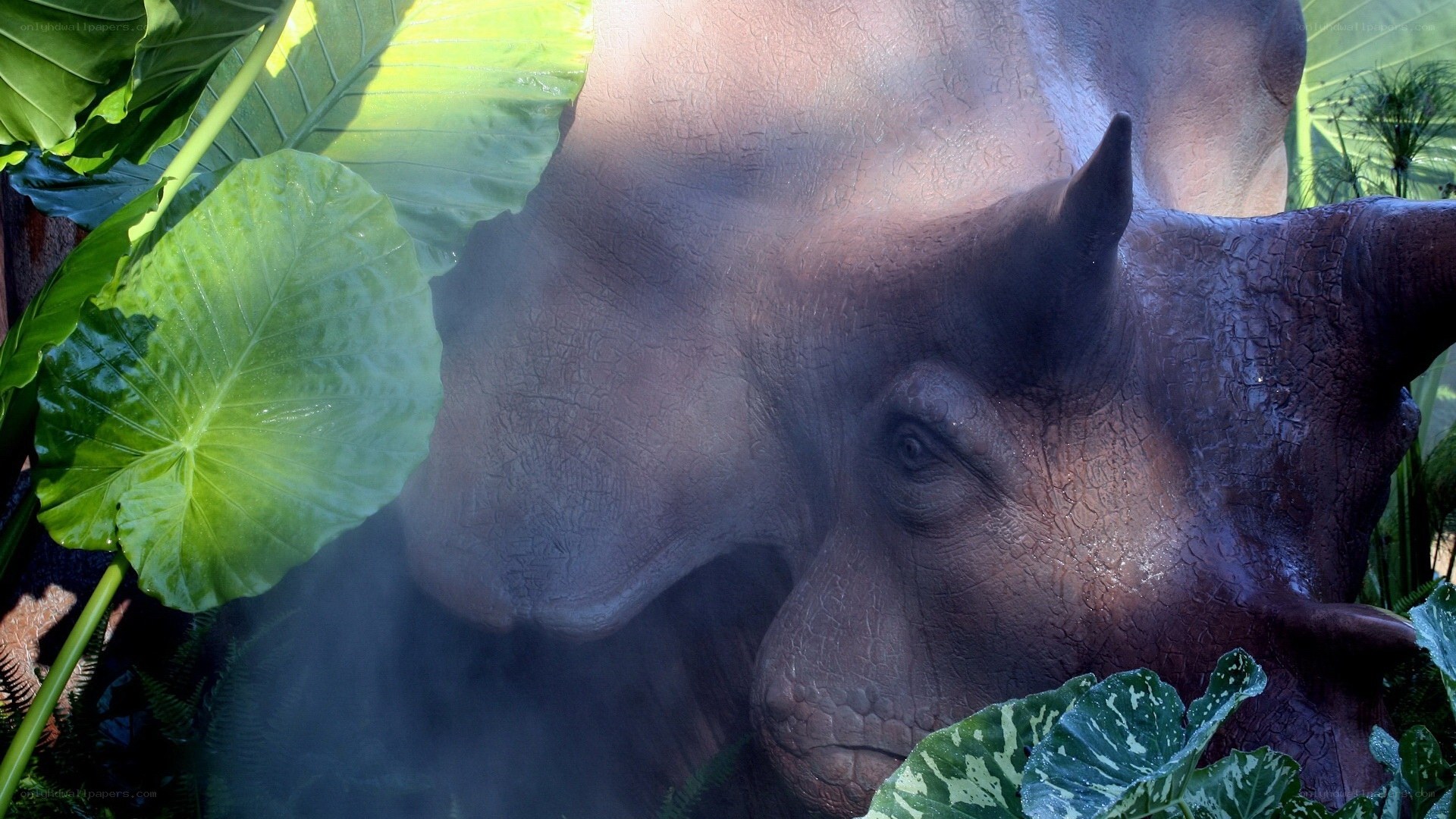 rhino in tropical foliage