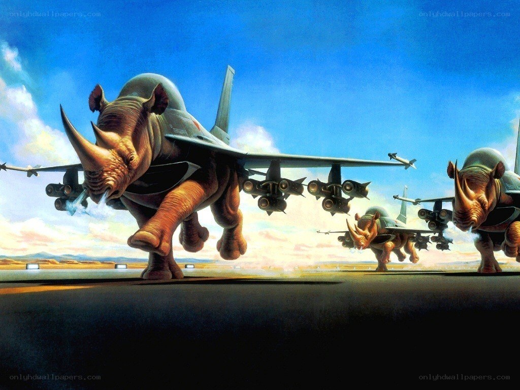 rhino jet fighter squadron