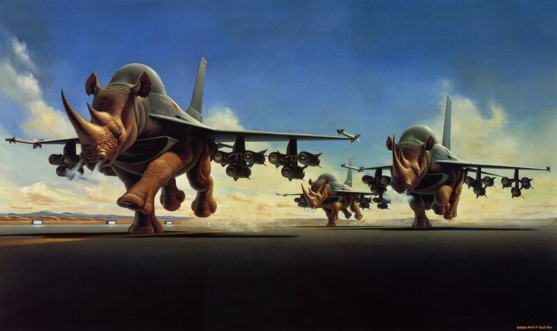 Rhino Jet Fighters