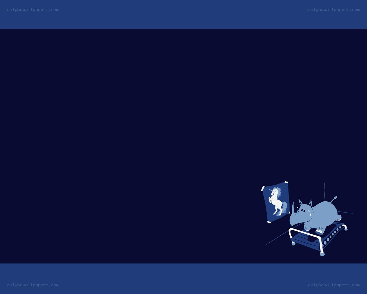 rhino on a treadmill
