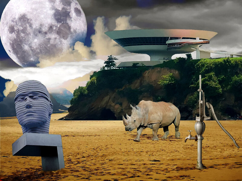 Rhino on Desert Beach