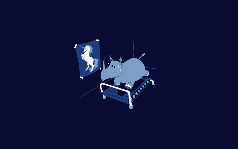 rhino on treadmill