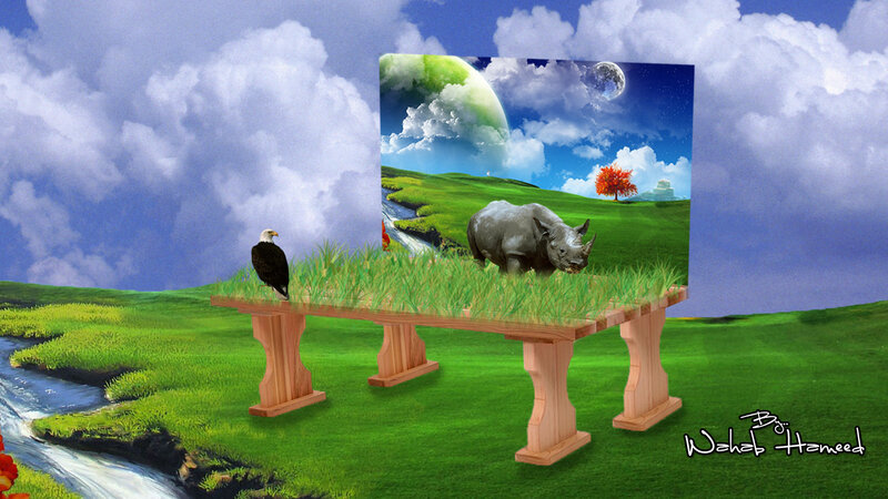 Rhino on Wooden Platform