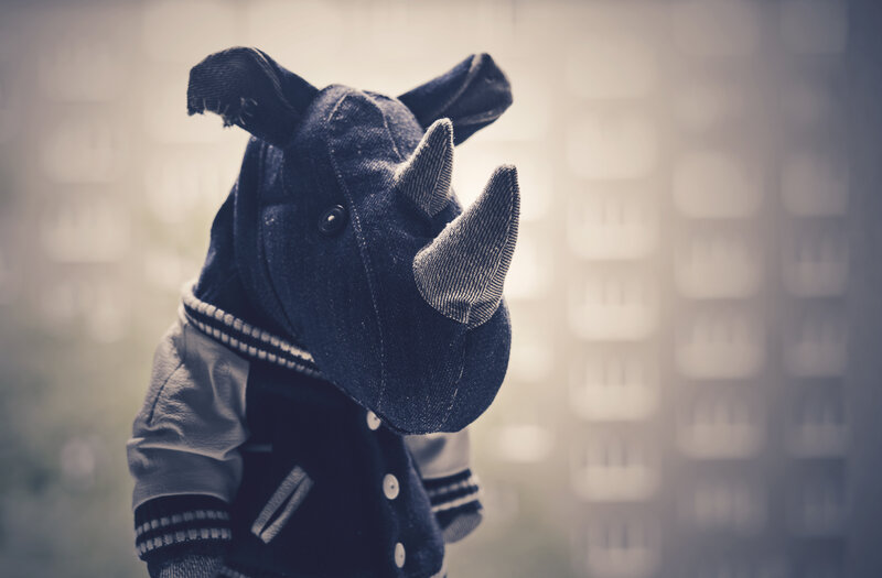 rhino plush in jacket