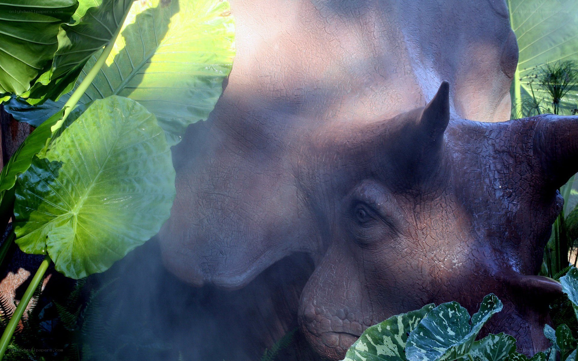 rhino statue in foliage