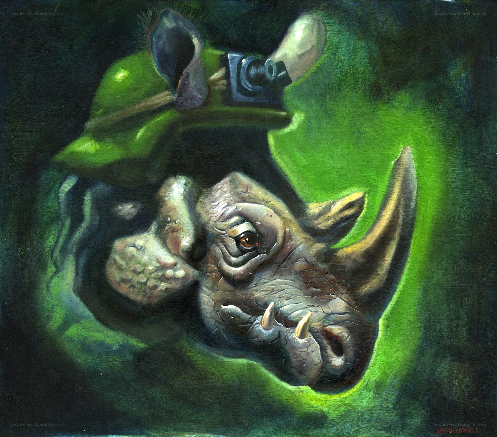 rhino with camera helmet