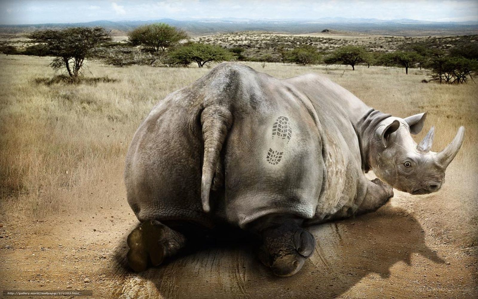 Rhino with footprint on back