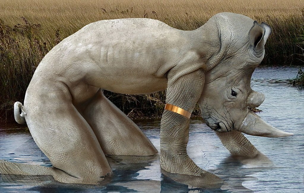 rhino with human-like body