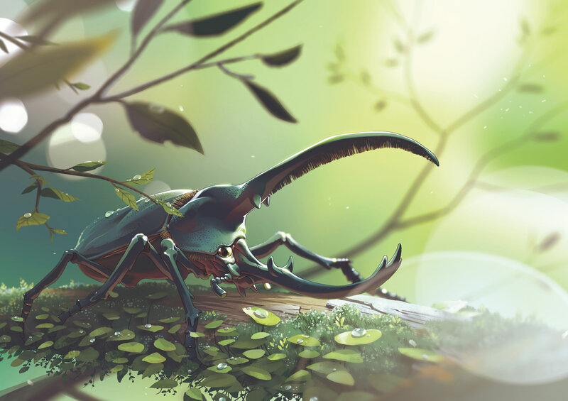 Rhinoceros Beetle on Log